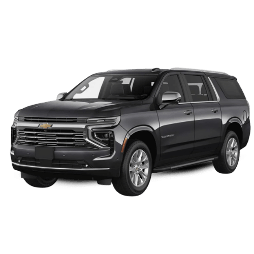 black white modern simple playful feminine bold podcast logo (3)