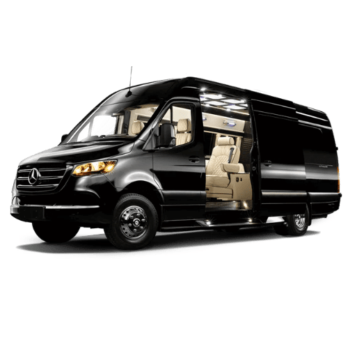 black white modern simple playful feminine bold podcast logo (6)